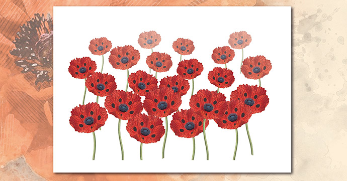 Poppy Field Colour poppy field colour