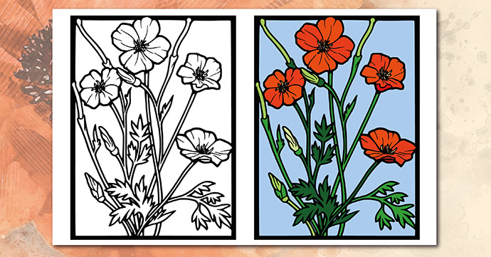 Poppy Window Colour-In poppy window colour in