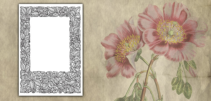 Download Mother's Day Card Colour In - A5 - Leaf Frame Border Mothers Day card colour in a5 leaf frame border.