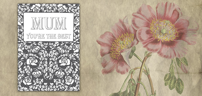 Download Mother's Day Card Colour In - A5 - You're the Best Mothers Day card colour in a5 you are the best.