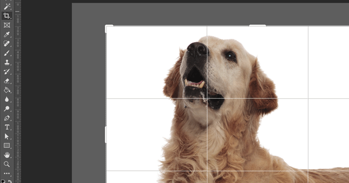 Crop Tool Crop tool.