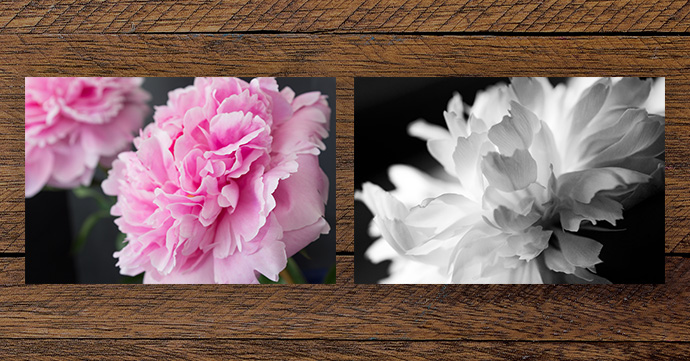 Colour Print and Black and White Print Colour print and black and white print.